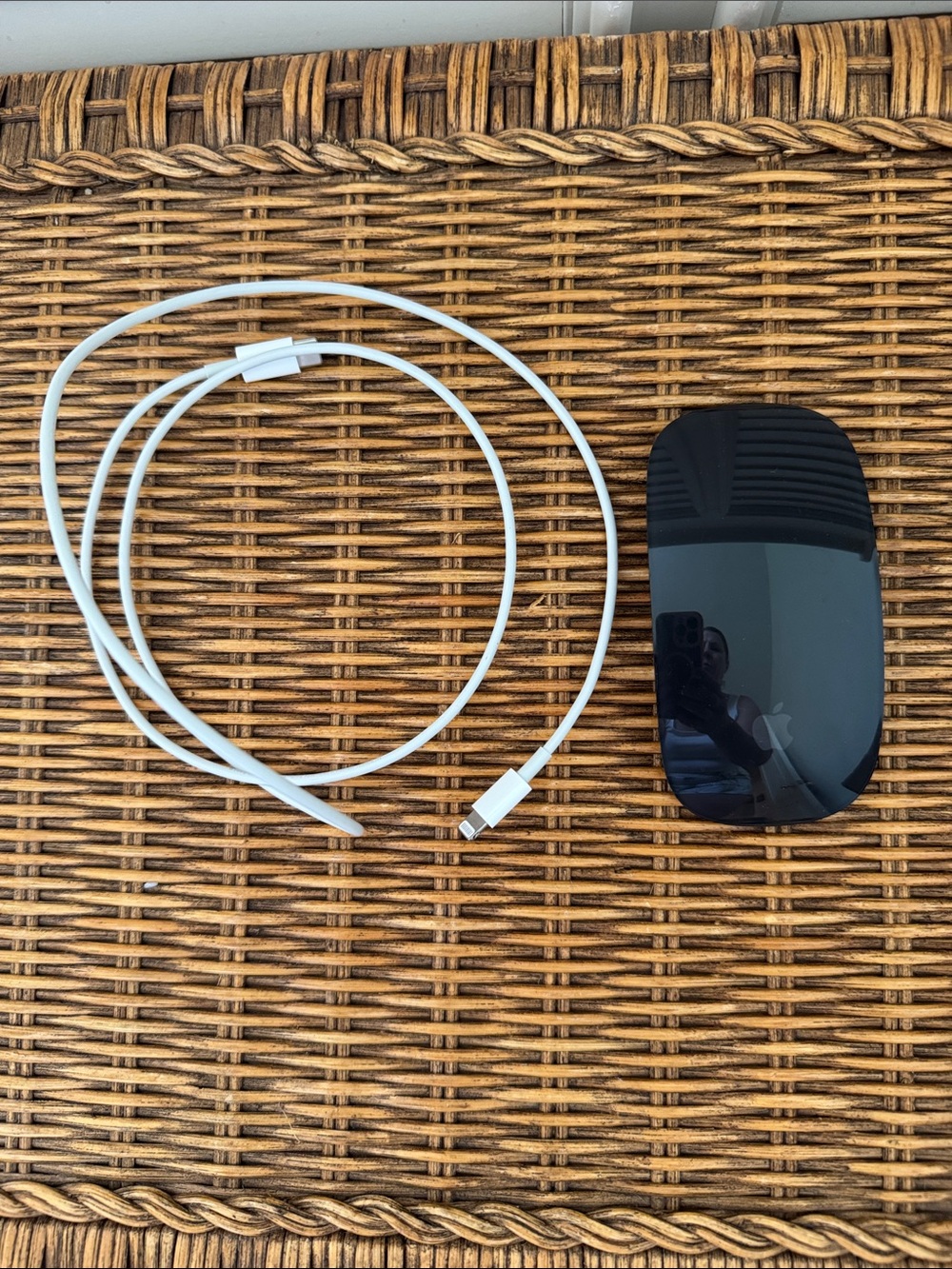Apple Magic Mouse with Charging Cable